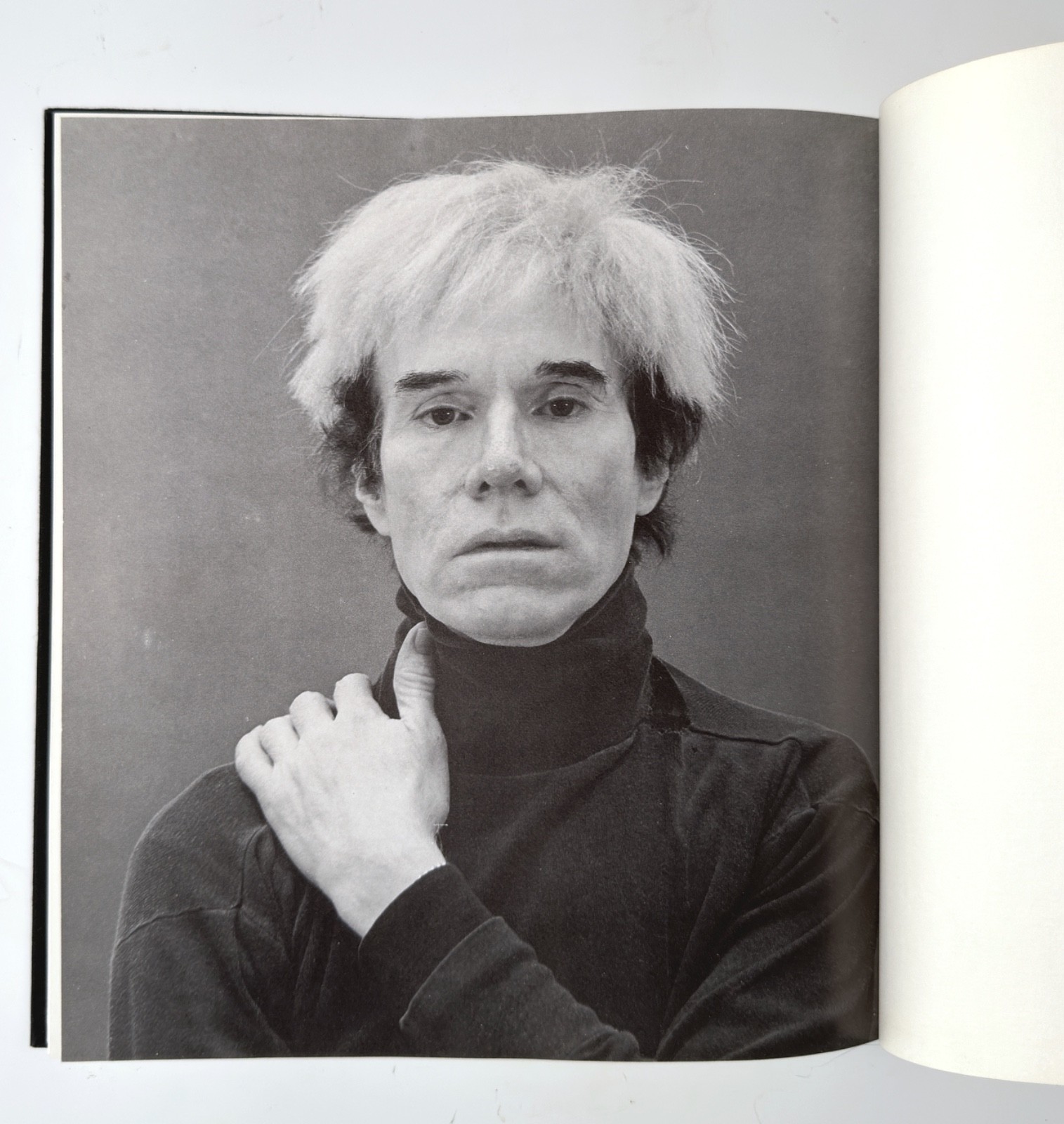 ANDY WARHOL PRINTS A Catalogue Raisonne 1995 DUST JACKET First Edition