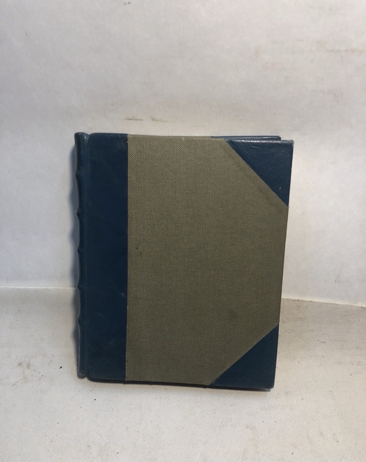 Interesting British Birds Kathleen Daly Blackie Son Illustrated Vintage Book