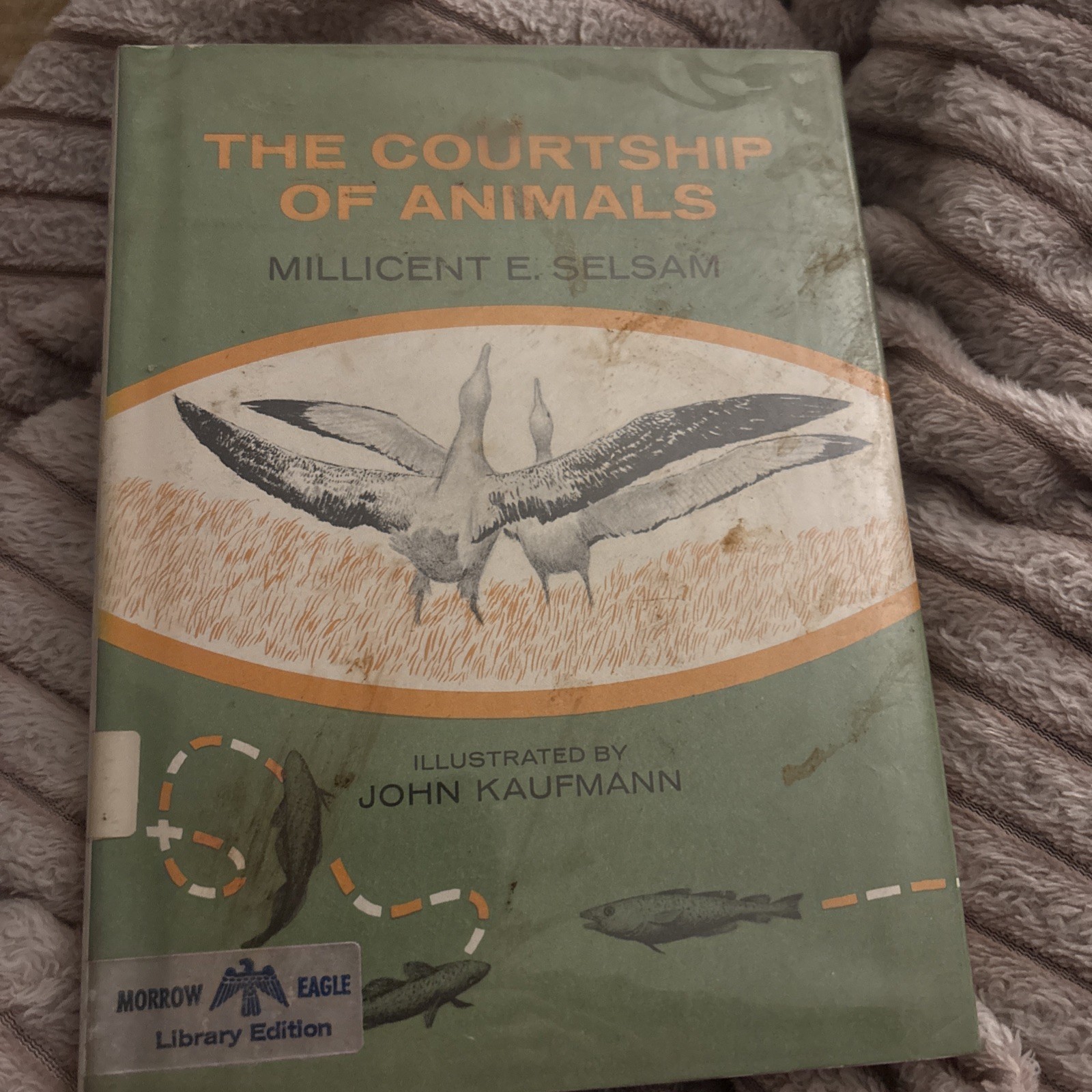 Maple Tree by Millicent E. Selsam 1968 Hardcover Dust Jacket