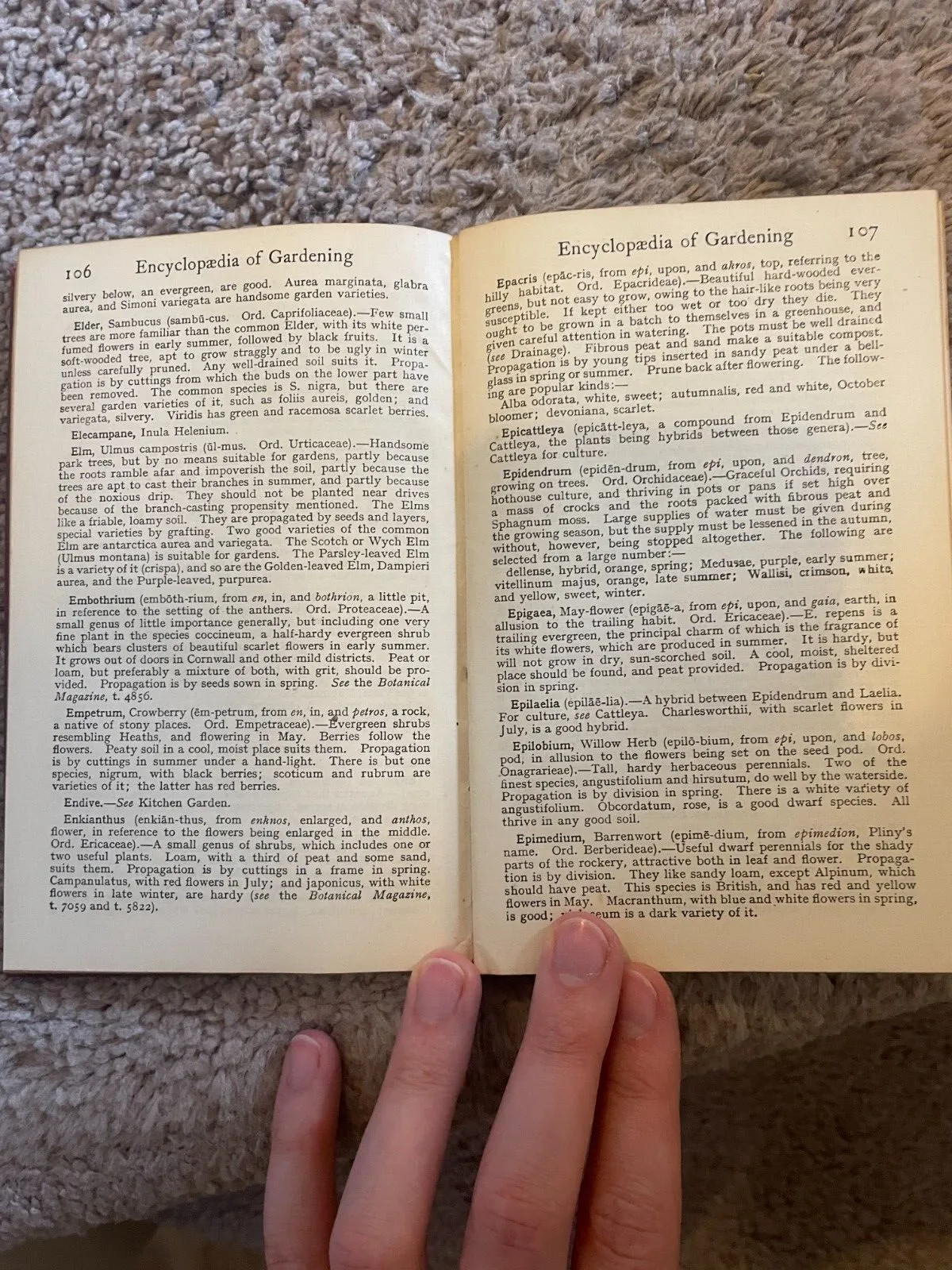 Vintage Book – Encyclopaedia of Gardening – W P Wright -J M Dent & Sons Ltd 1921