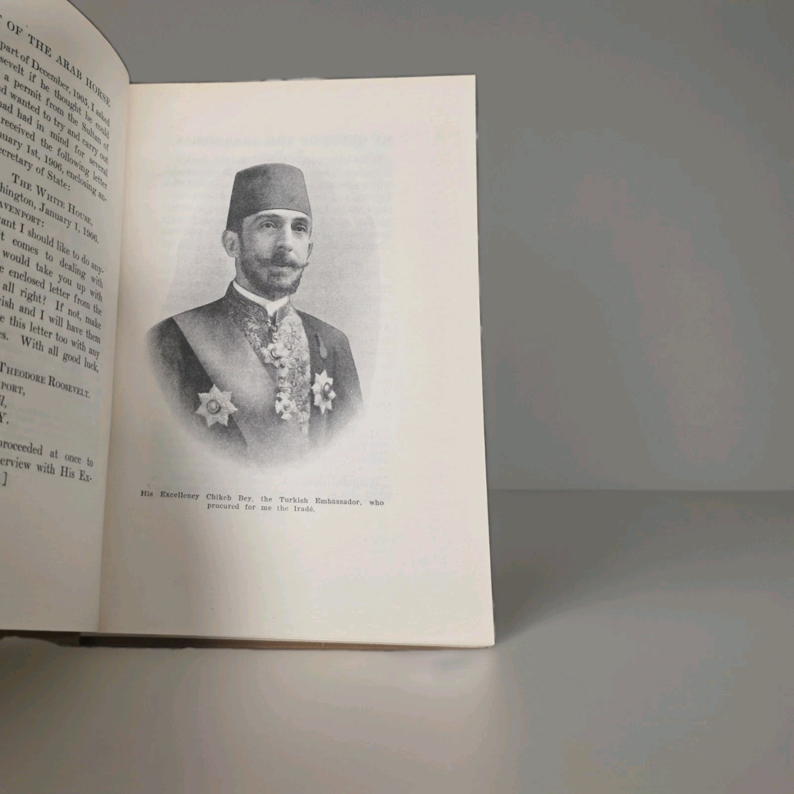 My Quest of the Arabian Horse Homer Davenport c1900s Arabian Horse Club HC RARE