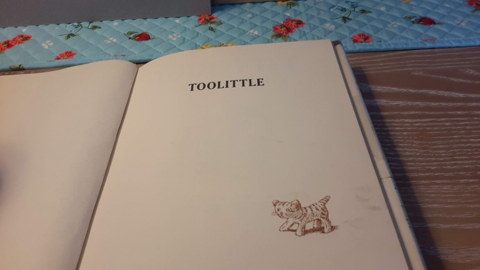 Vintage 1969 1st Edition of “ Toolittle“ by Edna M. Preston / The Viking Press