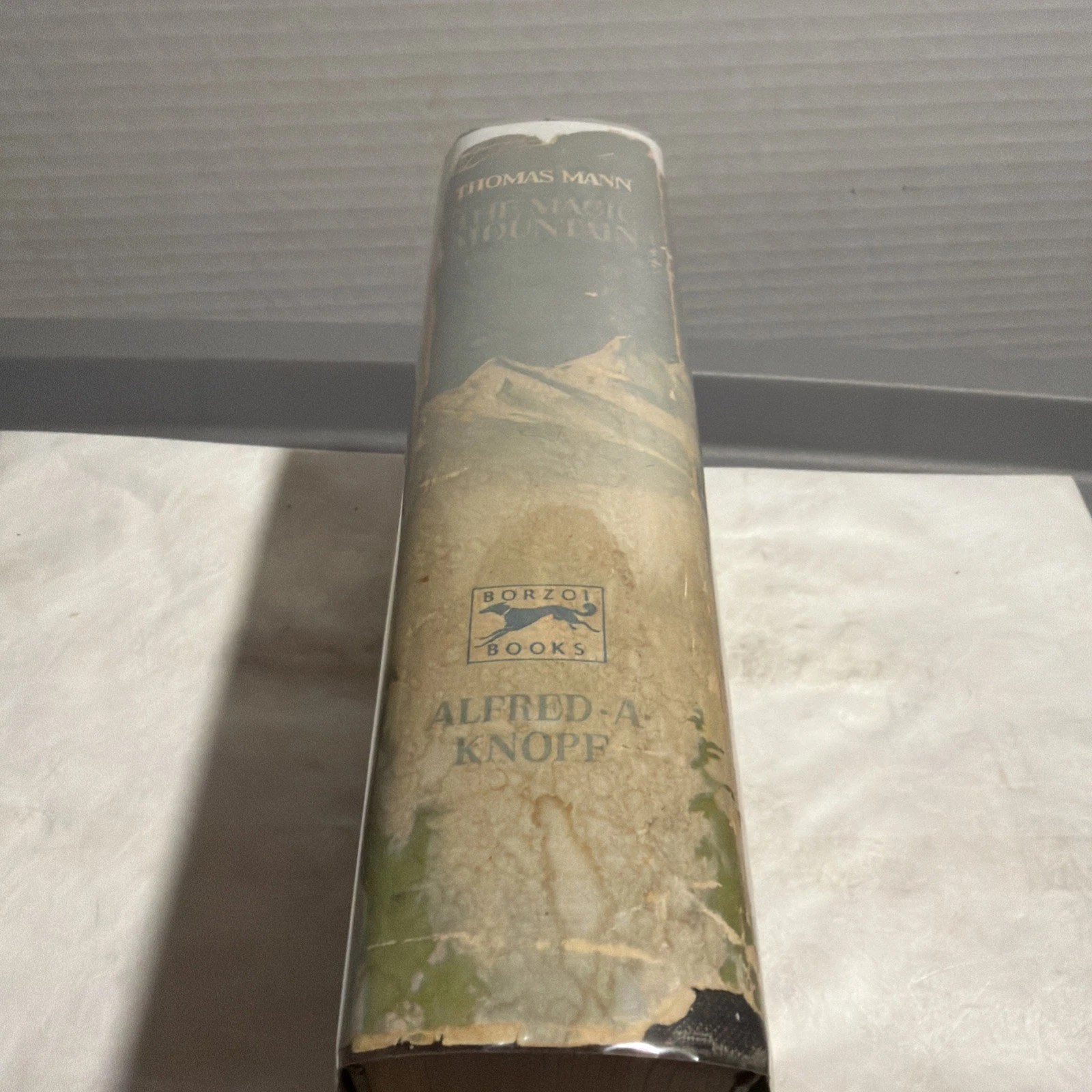 The Magic Mountain by Thomas Mann (1939) One Volume Hardcover Edition