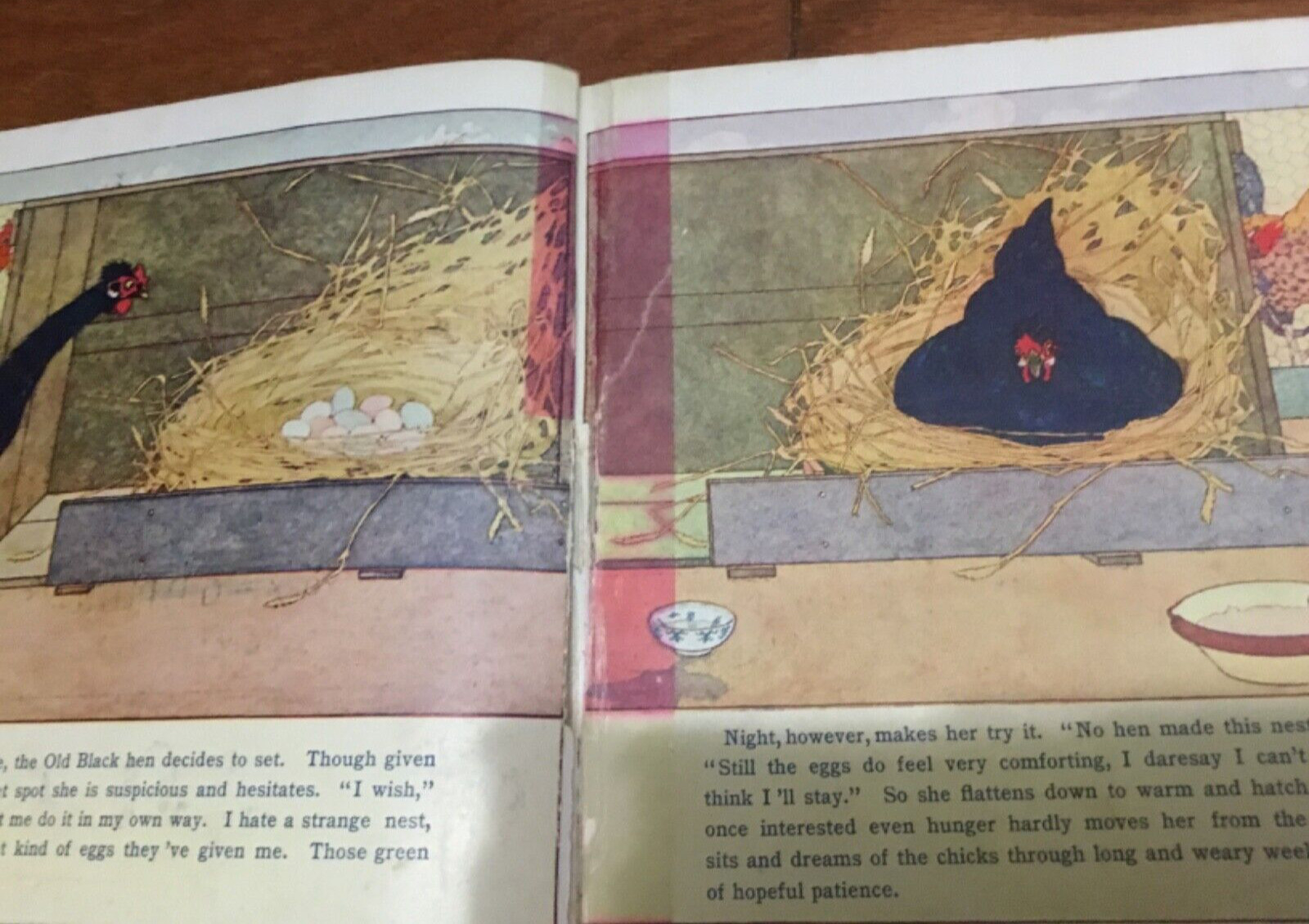 Chicken World, Drawn by E. Boyd Smith, G P Putnam, 1910, HC