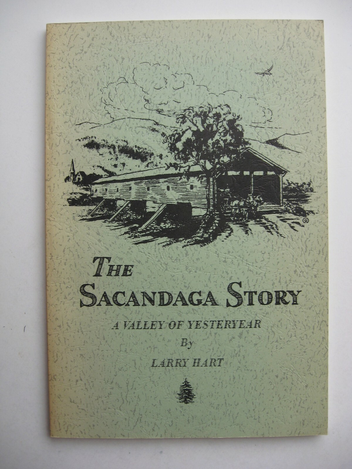 THE SACANDAGA STORY Larry Hart signed 1989 PB Northville Edinburg Fish House -M1