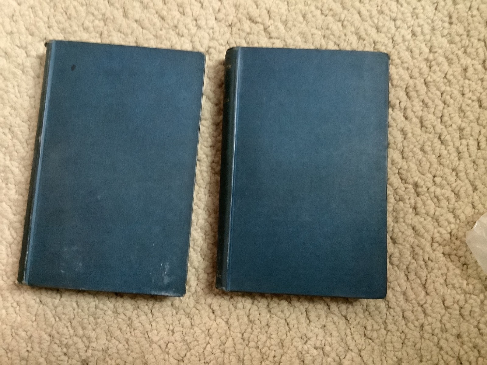 1885 Venetian Life By William Dean Howells 2 Vol Illustrated Travel Art Book Set