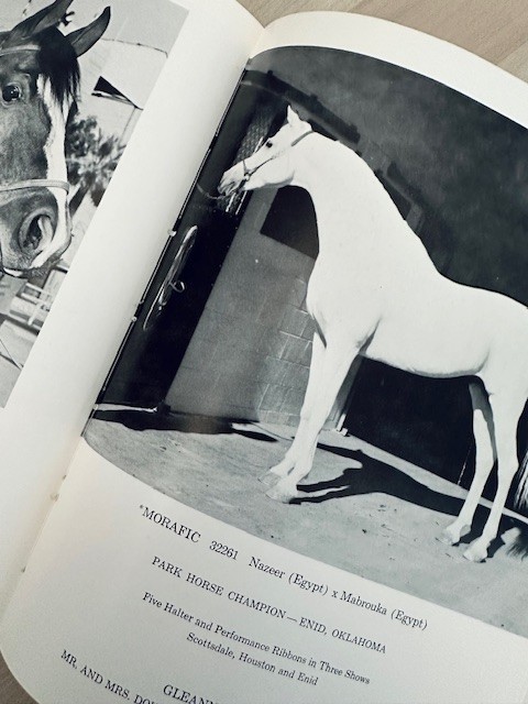 Arabian Horse Yearbook 1966 IAHA Vol XIV Arabian Horse Books / Memorabilia