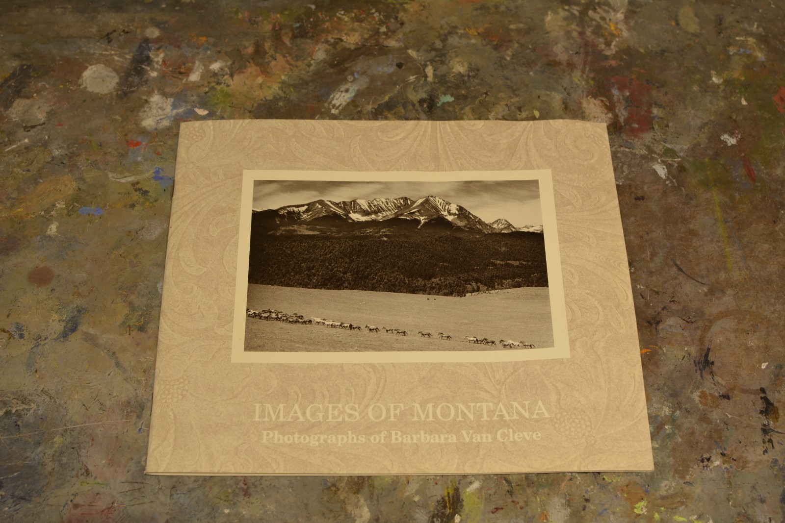 Barbara Van Cleve „Images of Montana“ booklet 1991 Cowgirls Ranching Women