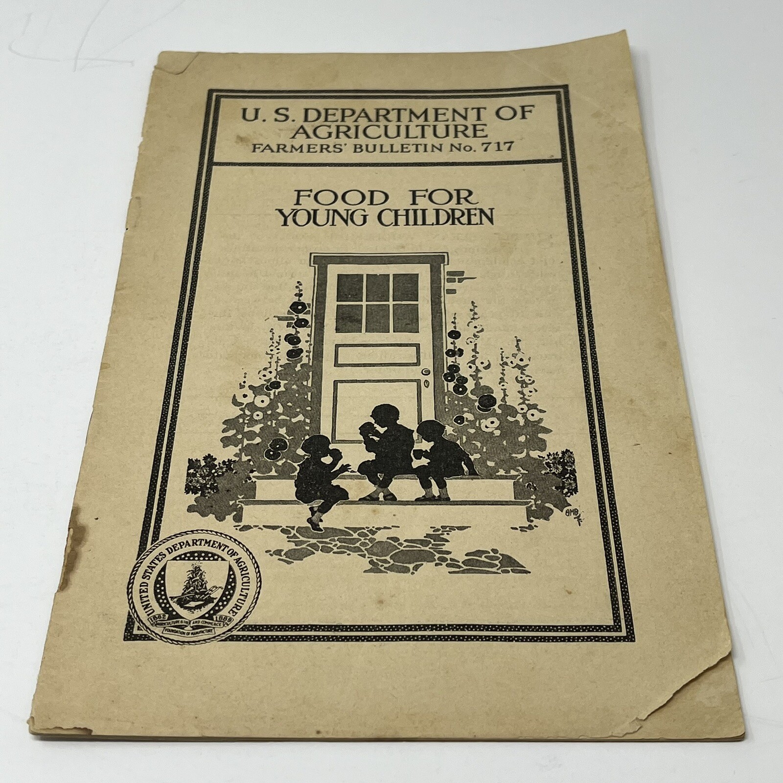 1920 USDA Farmers Bulletin 717 Food For Young Children Booklet Book