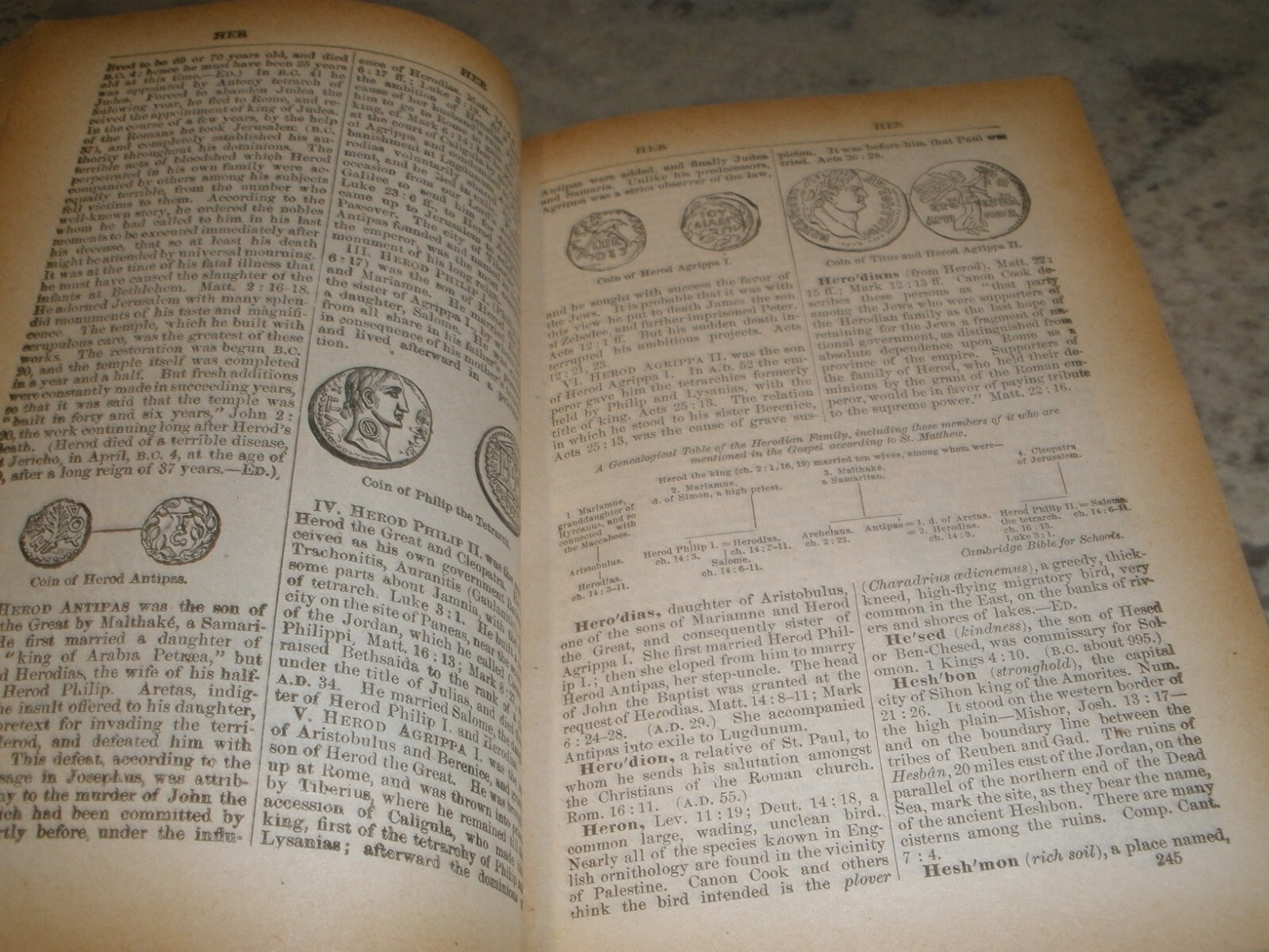 BIBLE DICTIONARY TEACHER’S EDITION WILLIAM SMITH 1884 HC