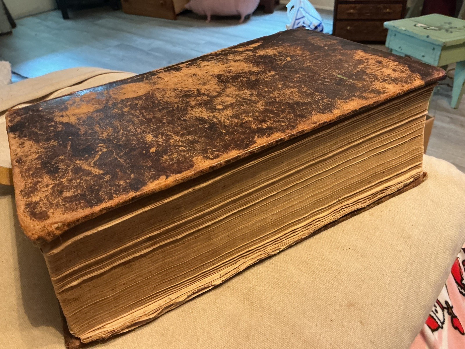 Early 1832 Scott’s Bible Monroe County WV Estate Bostic Family Genealogy History