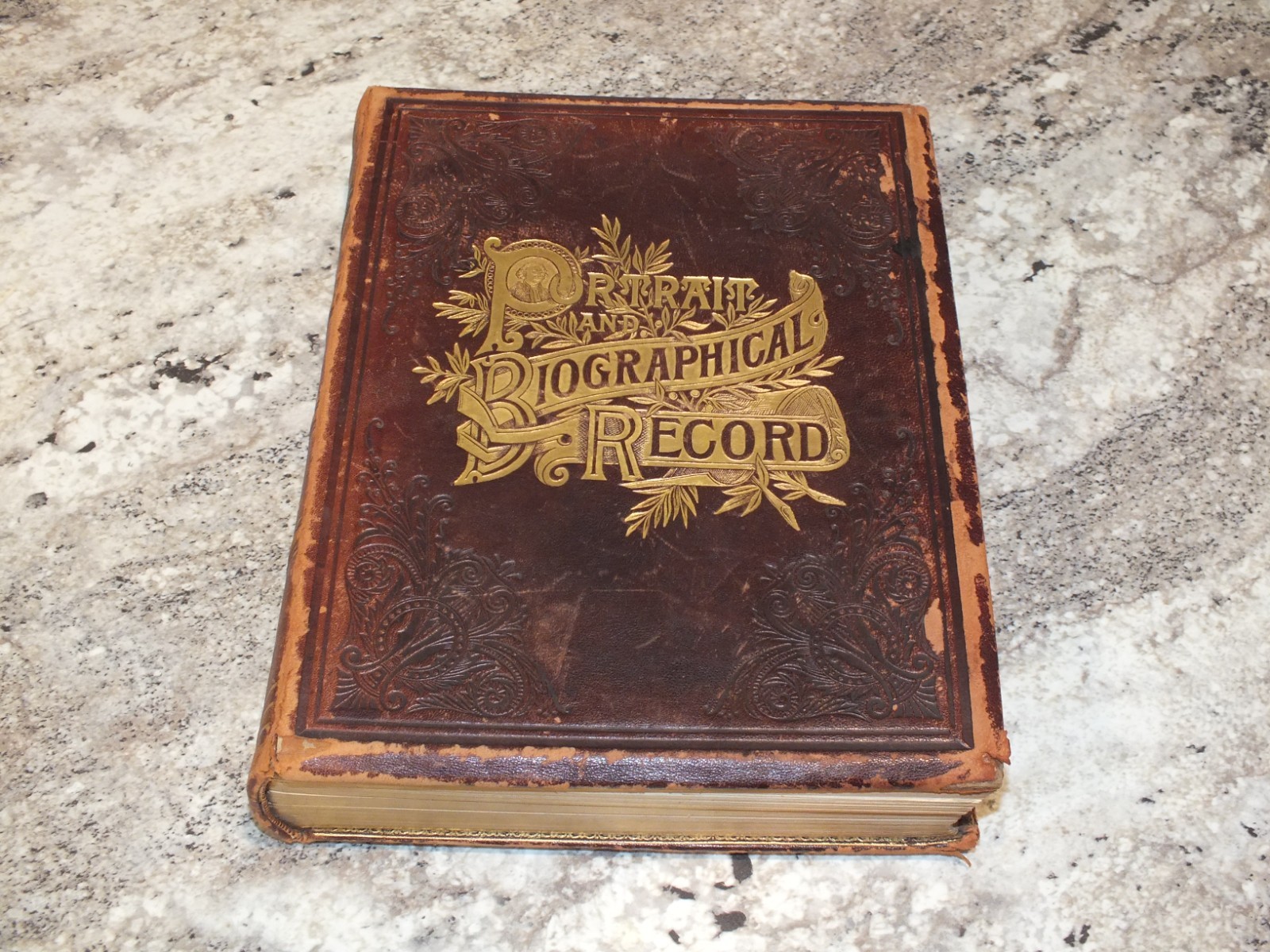 Portrait and Biographical Record of Sheboygan County Wisconsin , Antique 1894