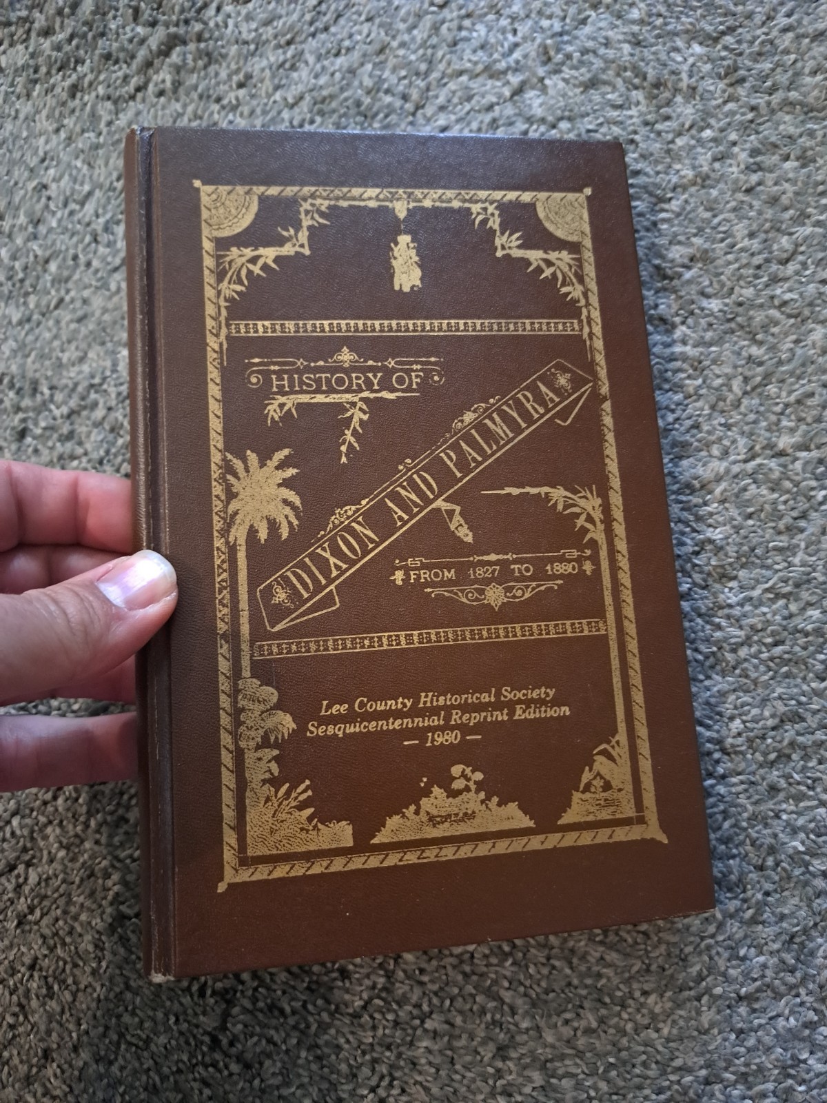 History of Dixon and Palmyra Illinois 1827-1880 Lee County Reprint Edition