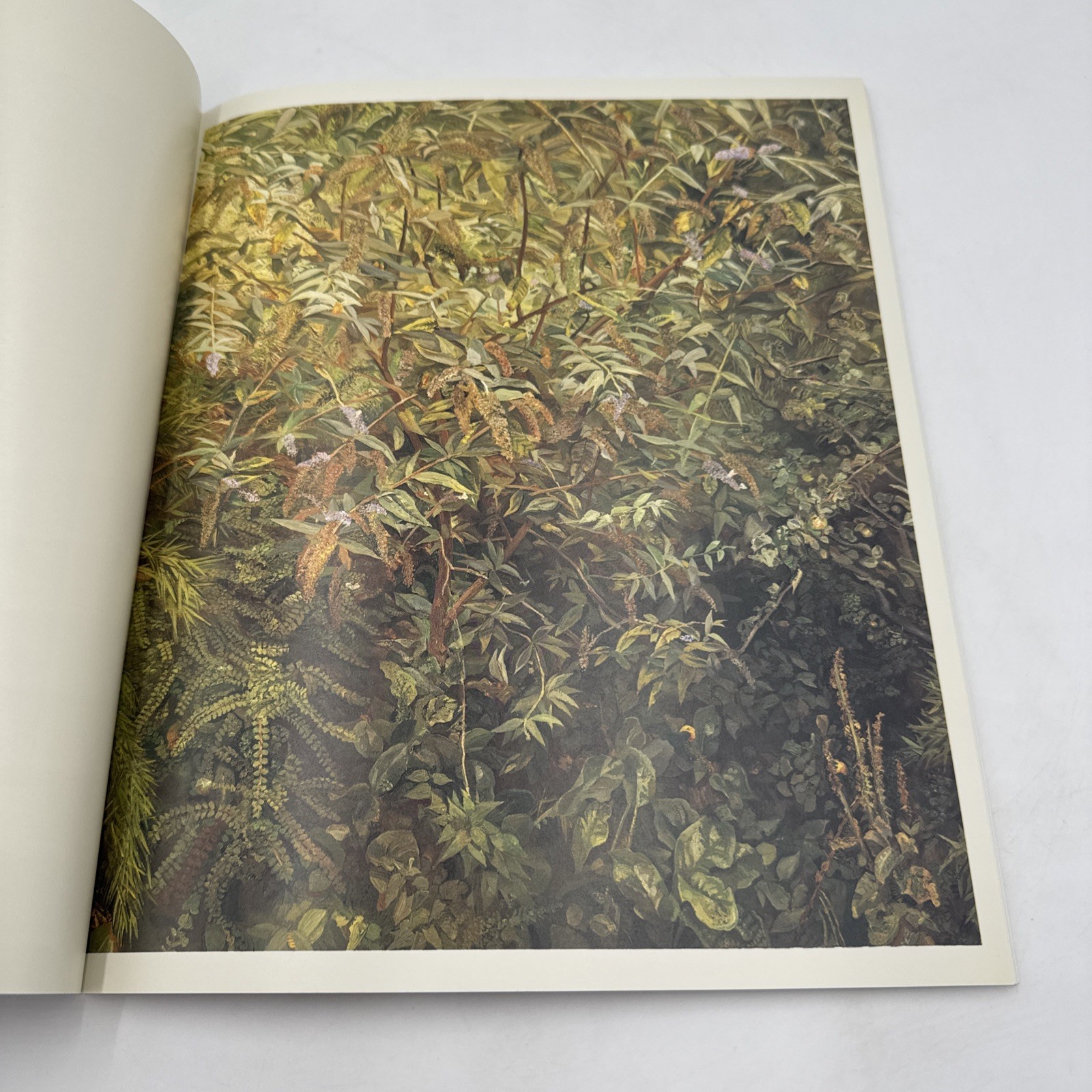 Lucien Freud Recent Work 1997-2000 Exibition Catalog Acquavella Contemporary Art