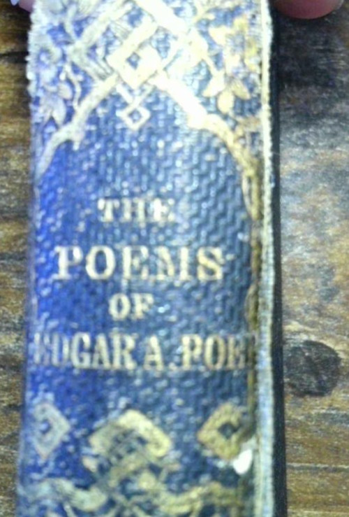 Poems by Edgar Allan Poe (1872) – W.J. Widdleton – Antique 19th Century Edition