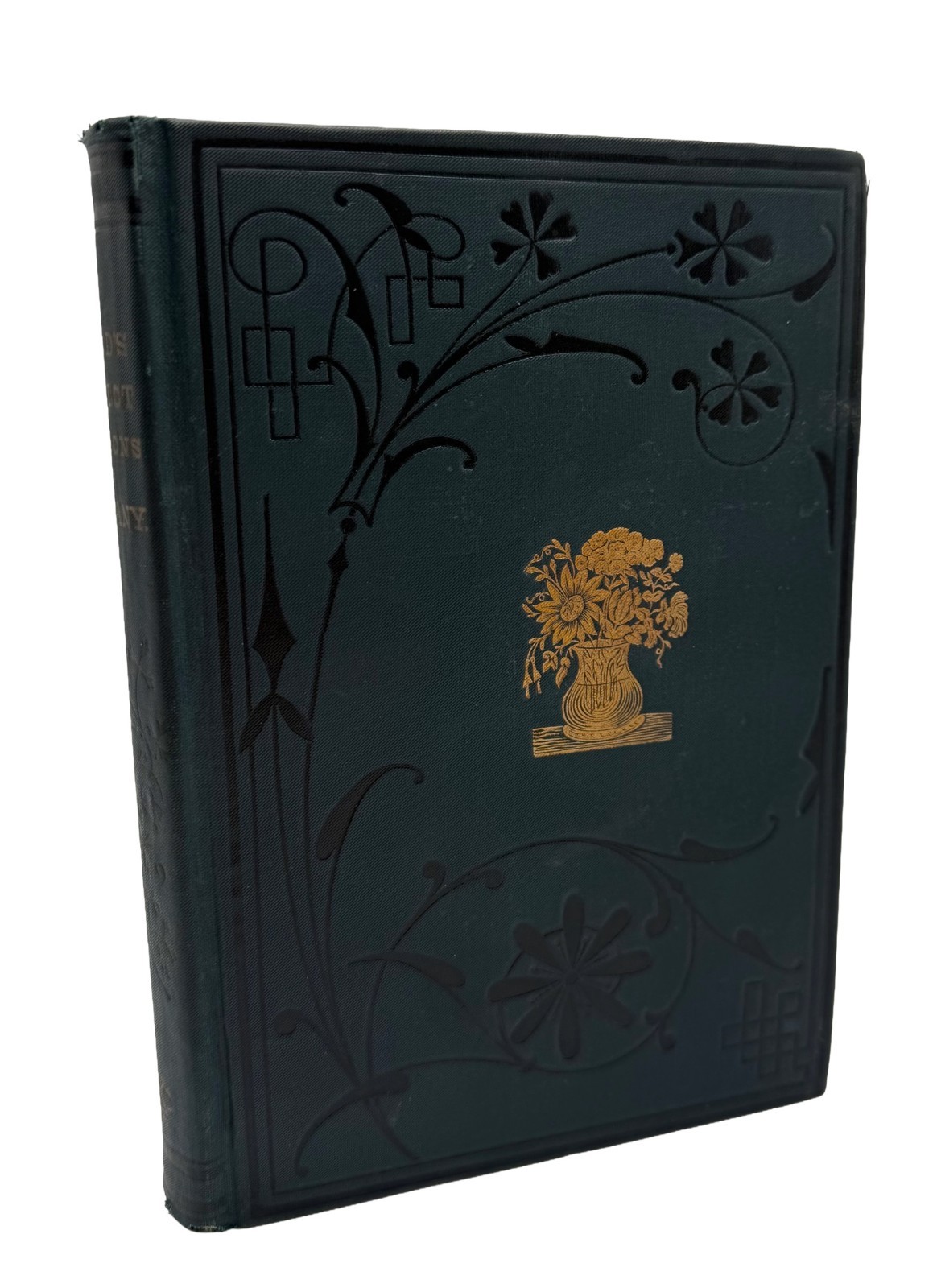 1891 Leaves & Flowers: Lesson In Botany by ALPHONSO WOOD – 665 ILLUSTRATIONS VG+