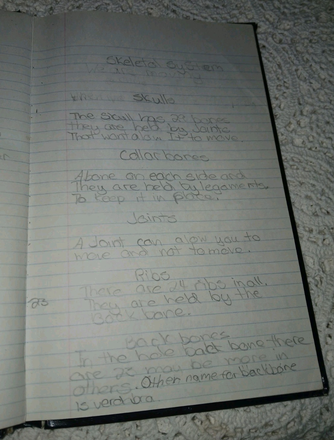 Vintage 1980s Kids Hand Written Journal Diary Dungeons Dragons Fantasy Stories