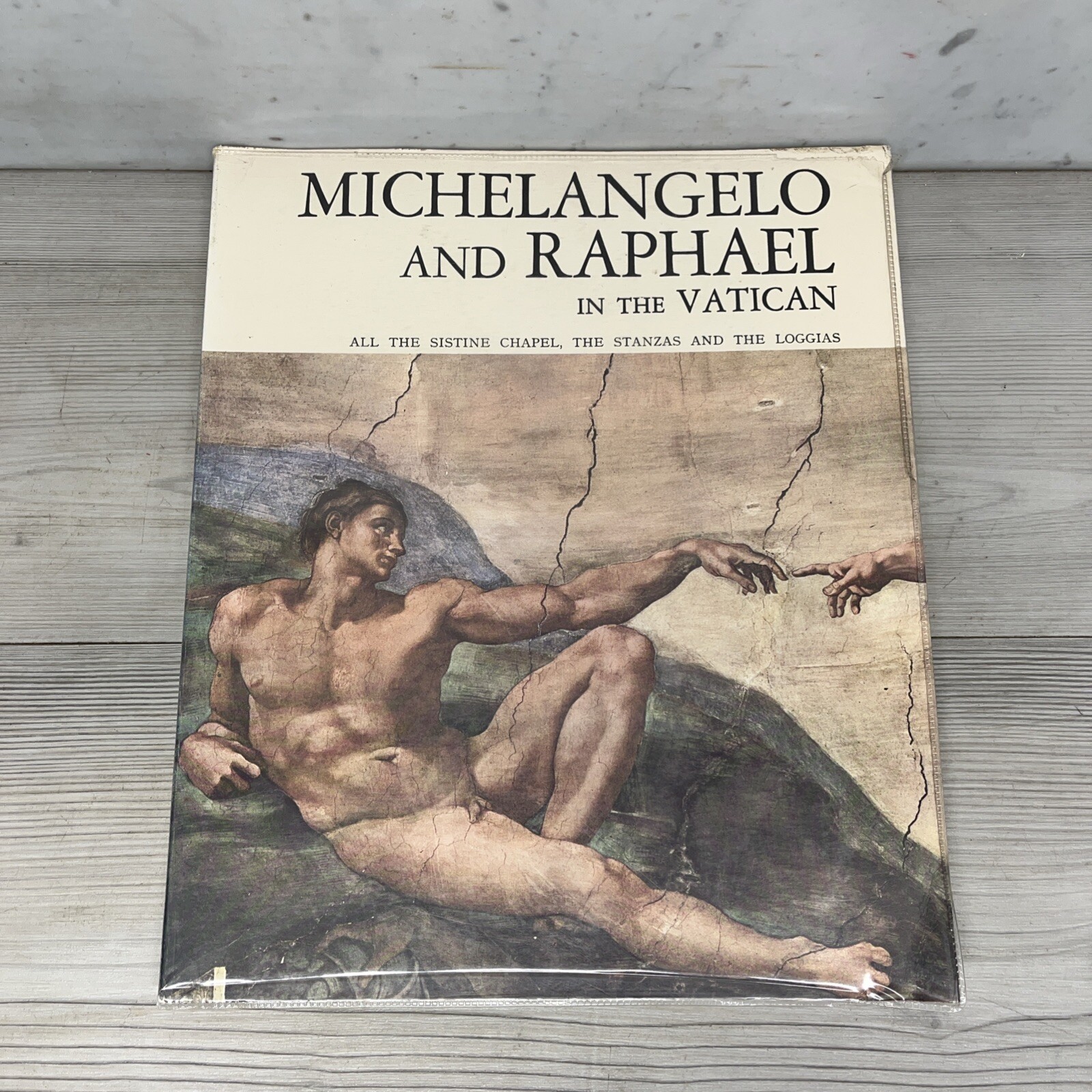Michelangelo and Raphael in the Vatican • Special Edition for the Papal Gallery