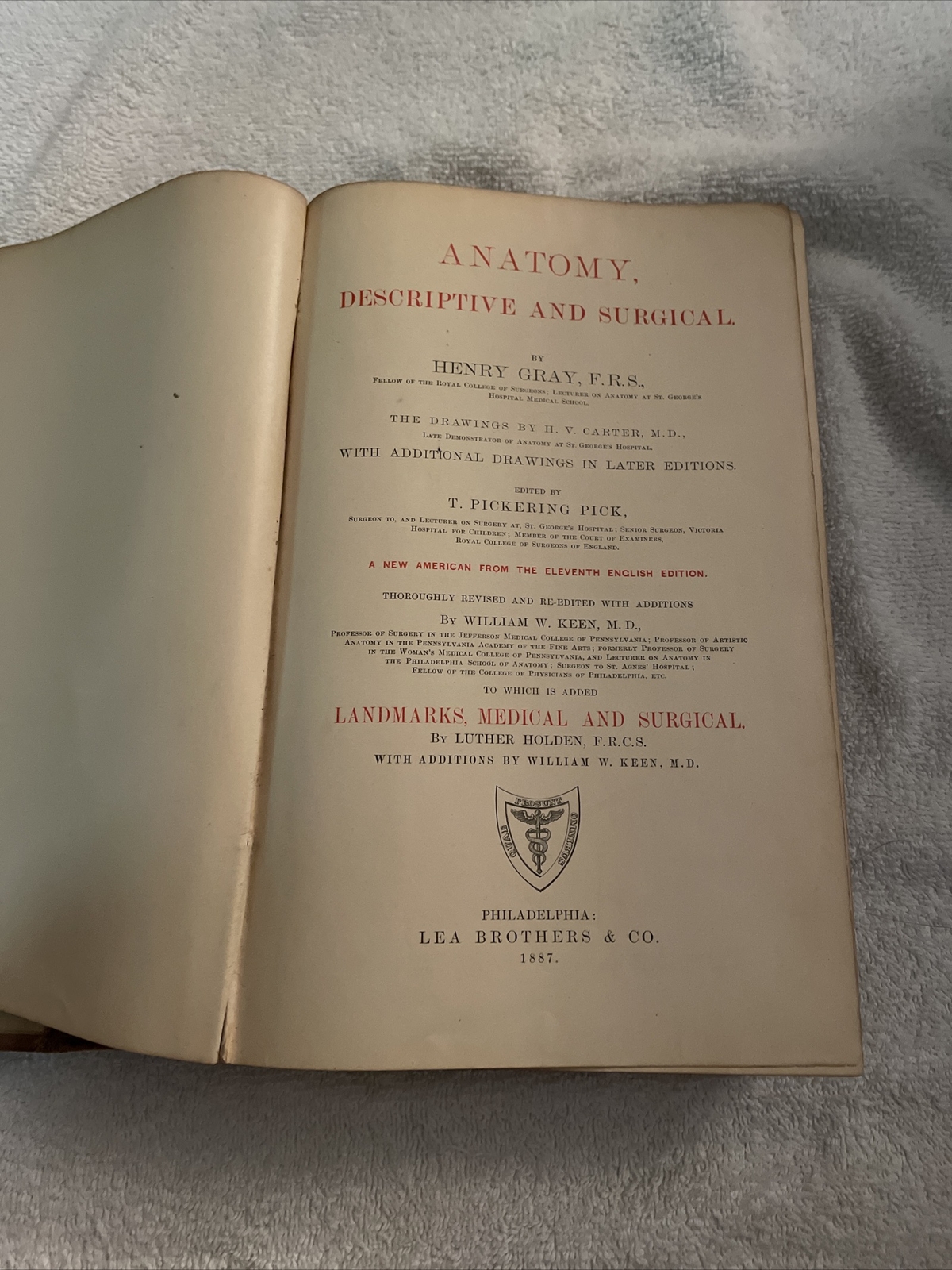 Gray’s Anatomy Descriptive And Surgical (1887)