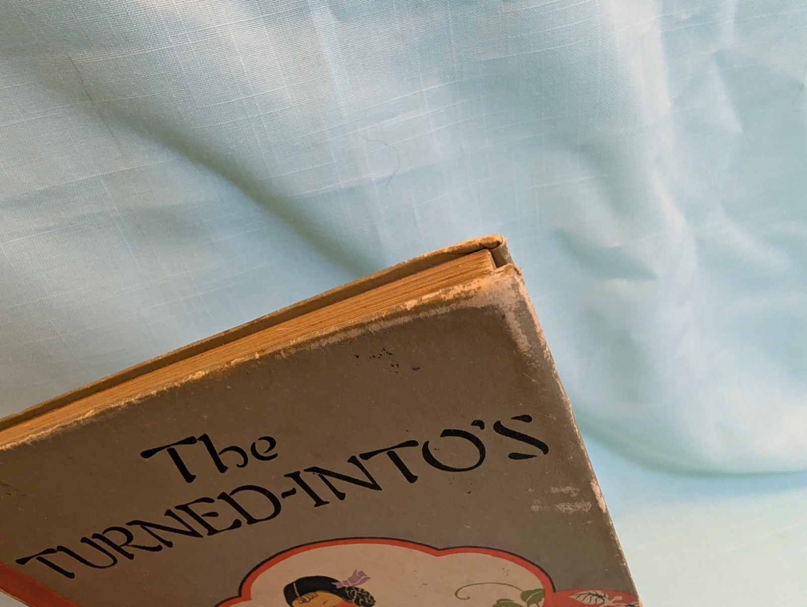 The Turned Into’s by Elizabeth Gordon 19th Printing Hardcover 1920
