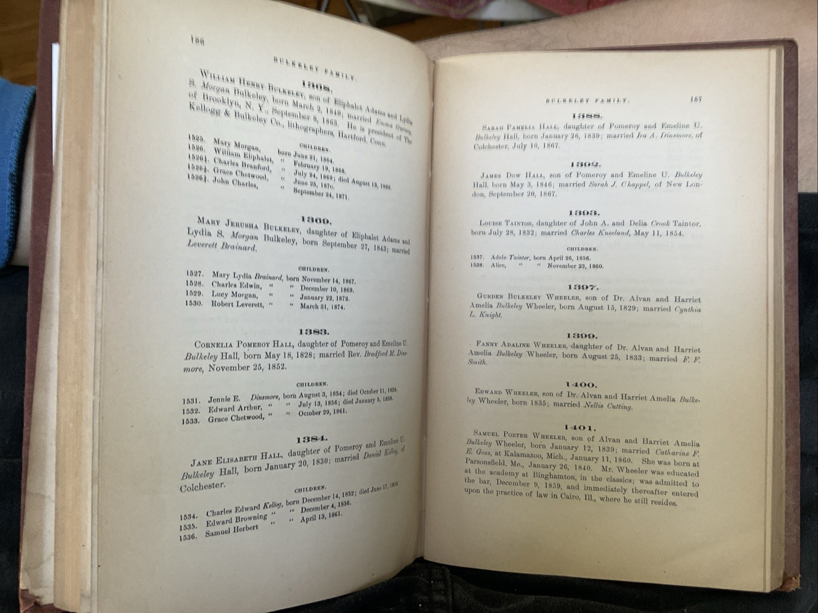 1875 BULKELEY Family Genealogy Peter Bulkeley Concord Massachusetts 1st Edition
