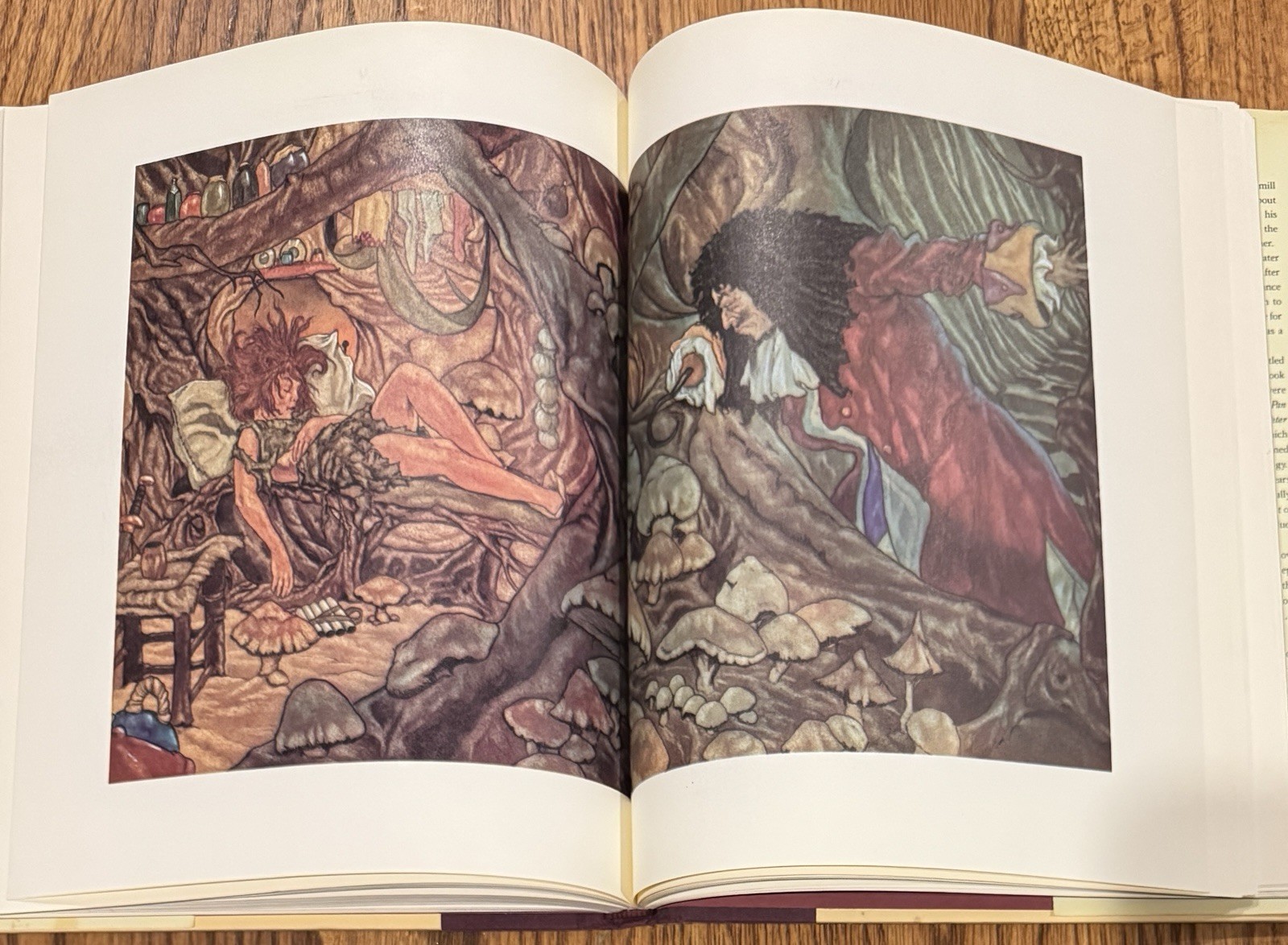 First Edition First Print 1987 Peter Pan J.M. Barrie & Michael Hague HC/ DJ