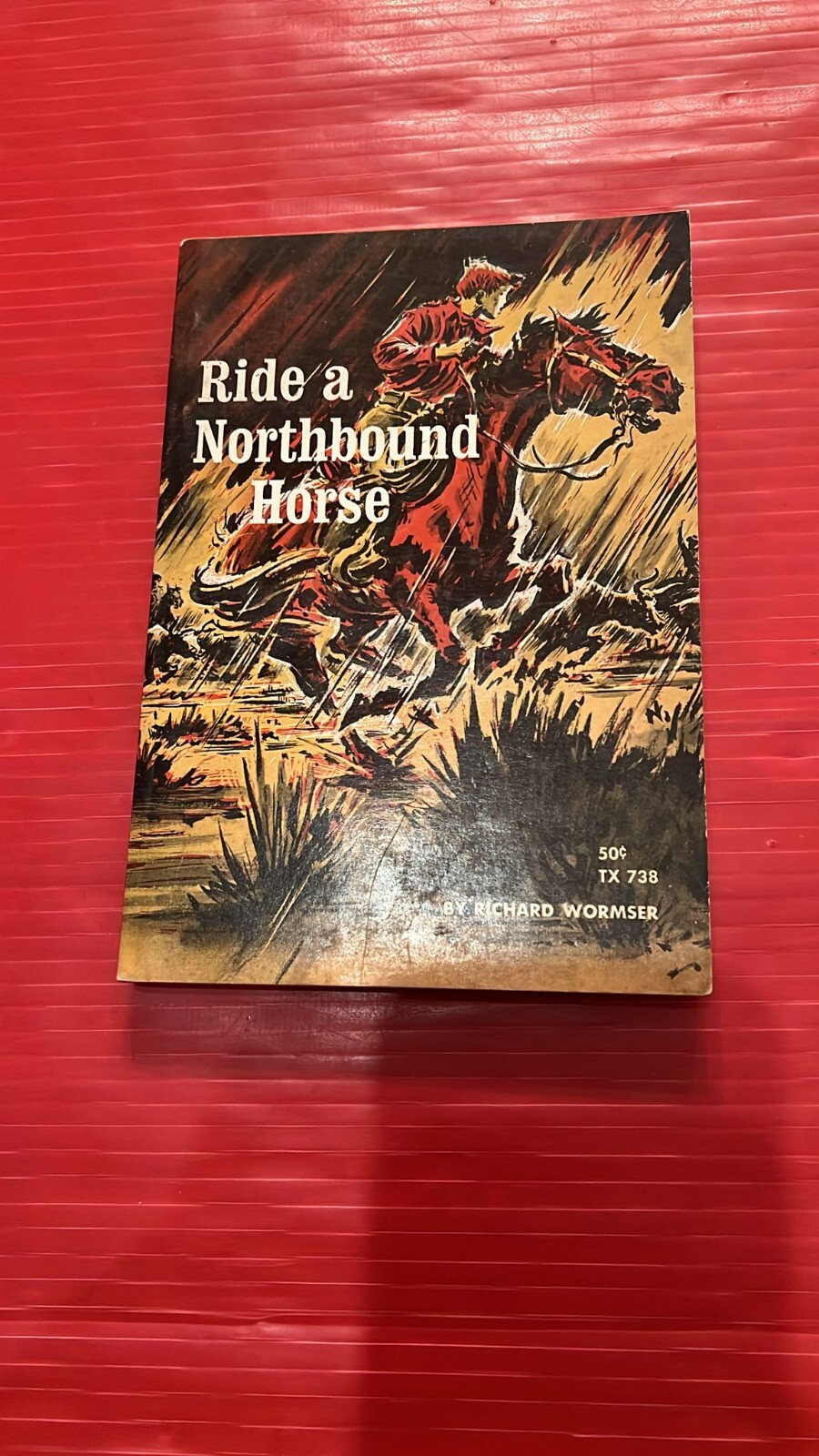 VTG Kids Ride a Northbound Horse Wormser Illus Charles Geer 1966 Cowboys Texas