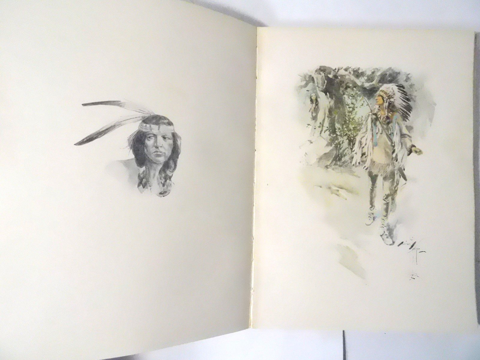 1906 The Song of HIAWATHA-Henry W .Longfellow/Harrison Fisher Illustrated