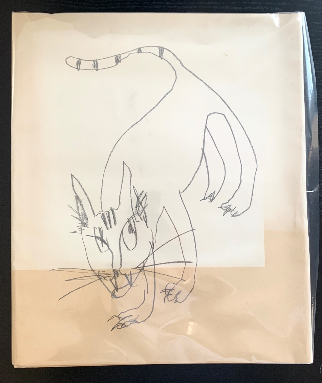 CATS / NECO – YUICHI HIBI – 1ST ED. – SIGNED – #230/500 – 2008 – NAZRAELI PRESS.