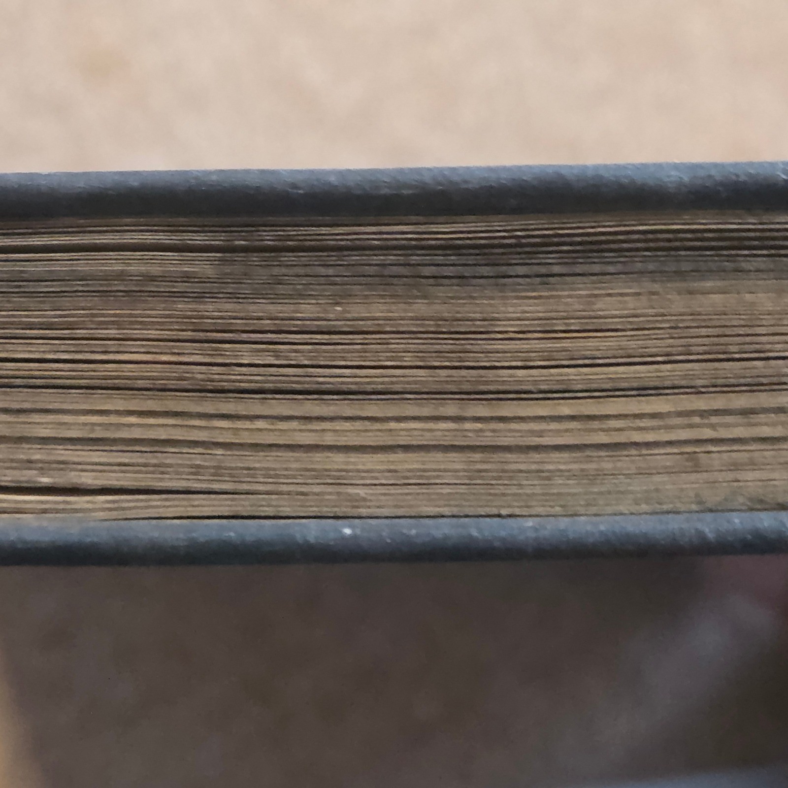 Oliver Ditson A Guide to The Ring of the Nibelung Richard Aldrich 1905 Blue Gilt