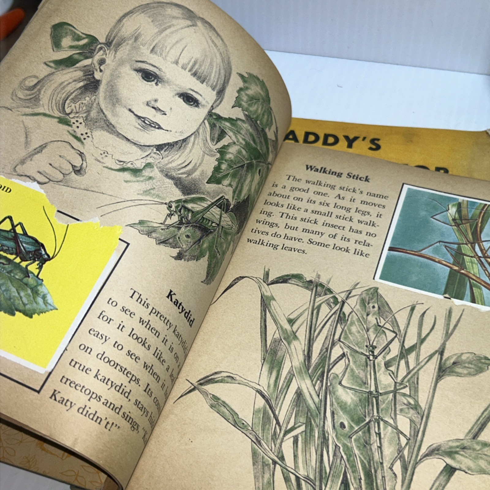 Lot Vtg Kids Books Paddy’s Surprise Visitor Wiggletail Cleo Insect Stamps Golden