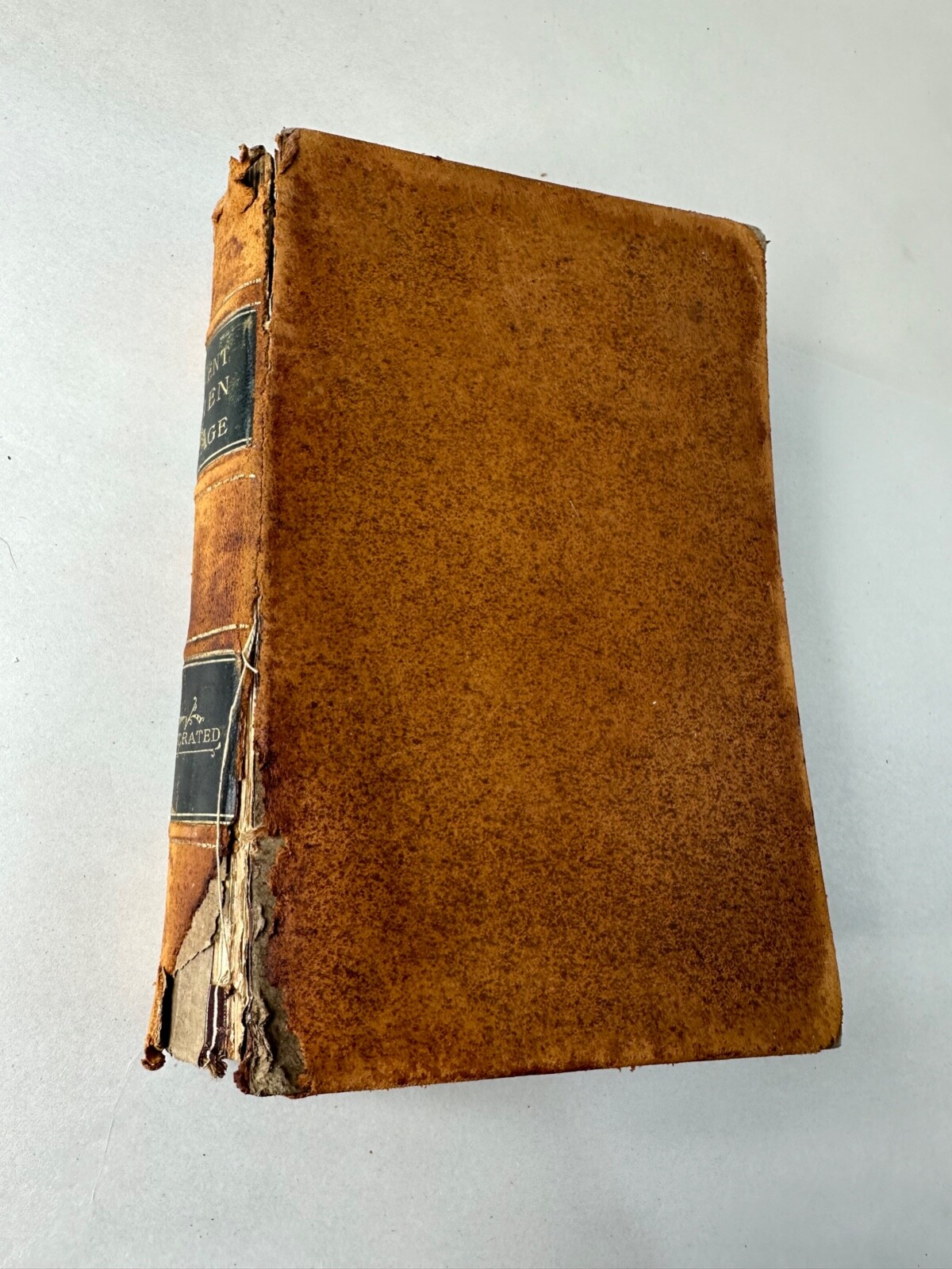 VTG Eminent Women of the Age 1868 Antique First Edition Book Illustrated Leather