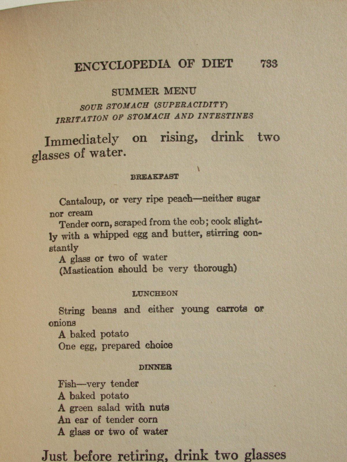 1917 Eugene Christian’s Encyclopedia of Diet Vol 3 Curative Menus for healing