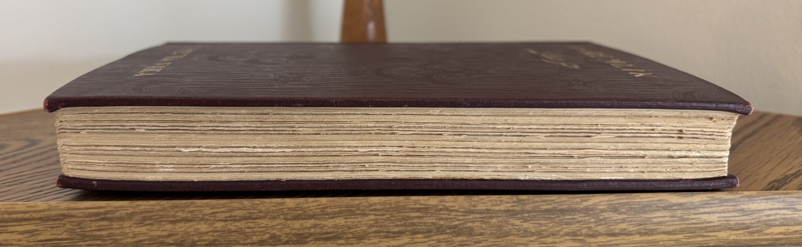 Haremlik by Demetra Vaka 1909 First Edition – Pre-WWI Turkey