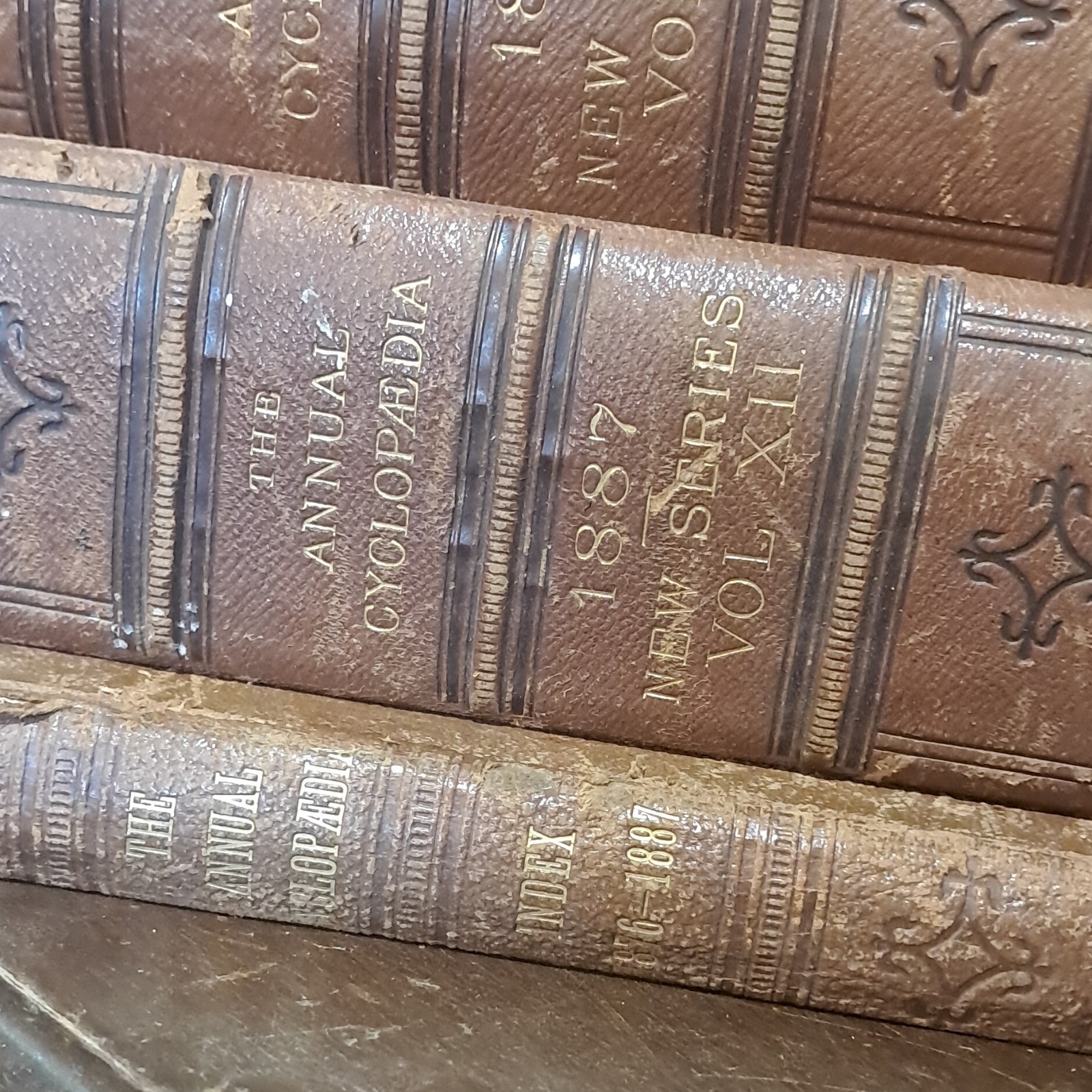 D. Appleton Annual Cyclopaedia 1883 Leather Bound Illustrated Americana