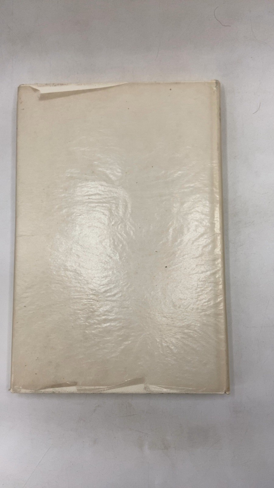 Wedding Embassy Yearbook