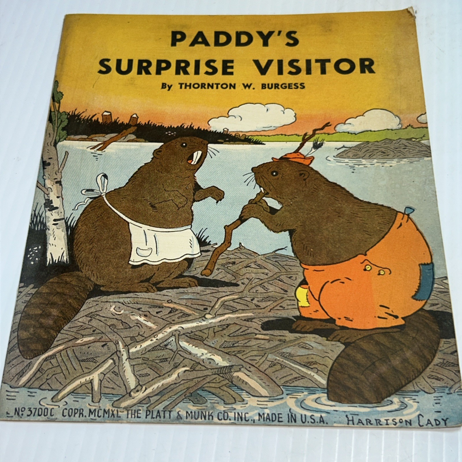 Lot Vtg Kids Books Paddy’s Surprise Visitor Wiggletail Cleo Insect Stamps Golden