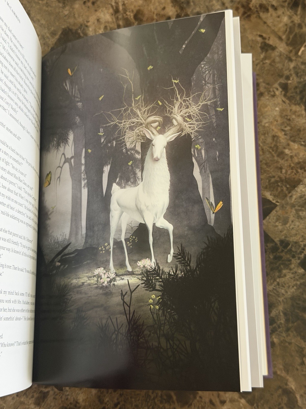 Robert McCammon Boy’s Life Subterranean Press Signed And Numbered Hardcover