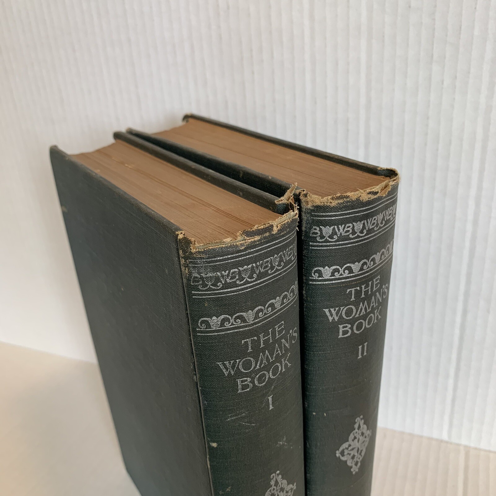 The Woman’s Book Advice Instruction Volumes 1 and 2 Scribners 1894 Americana