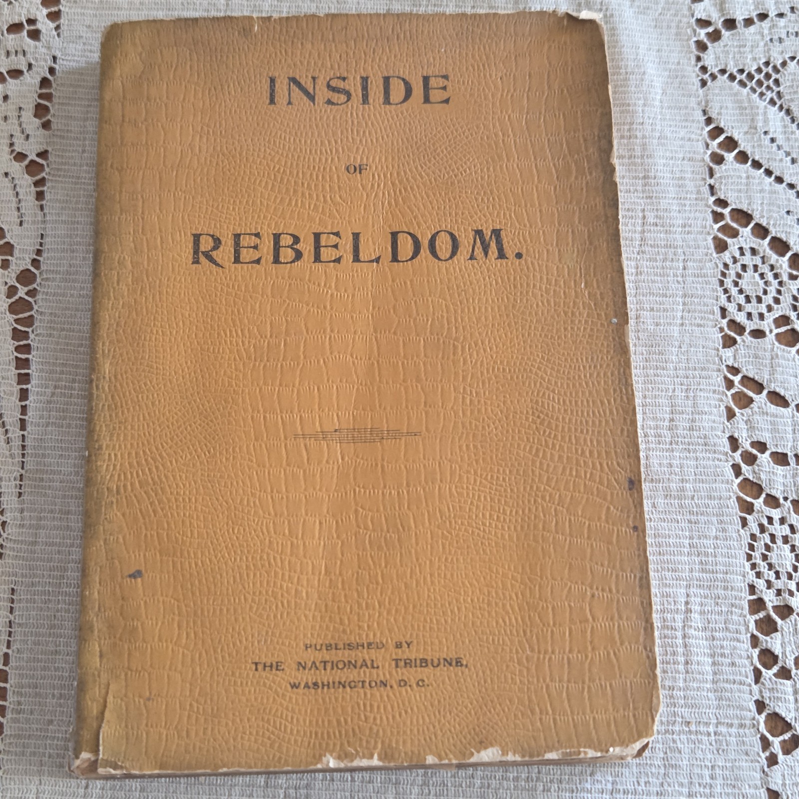 Inside of Rebeldom: The Daily Life of a Private Confederate Army Cannon, JP 1900
