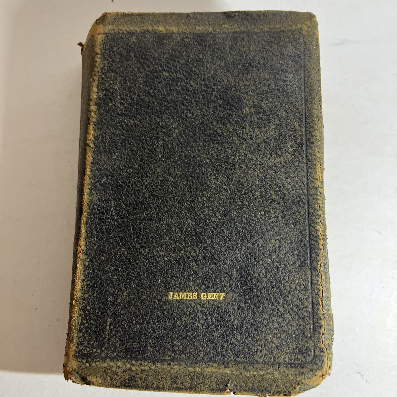 Vintage A. J. Holman & Co. Illustrated Holy Bible – „Pronouncing Edition“ 1920’s