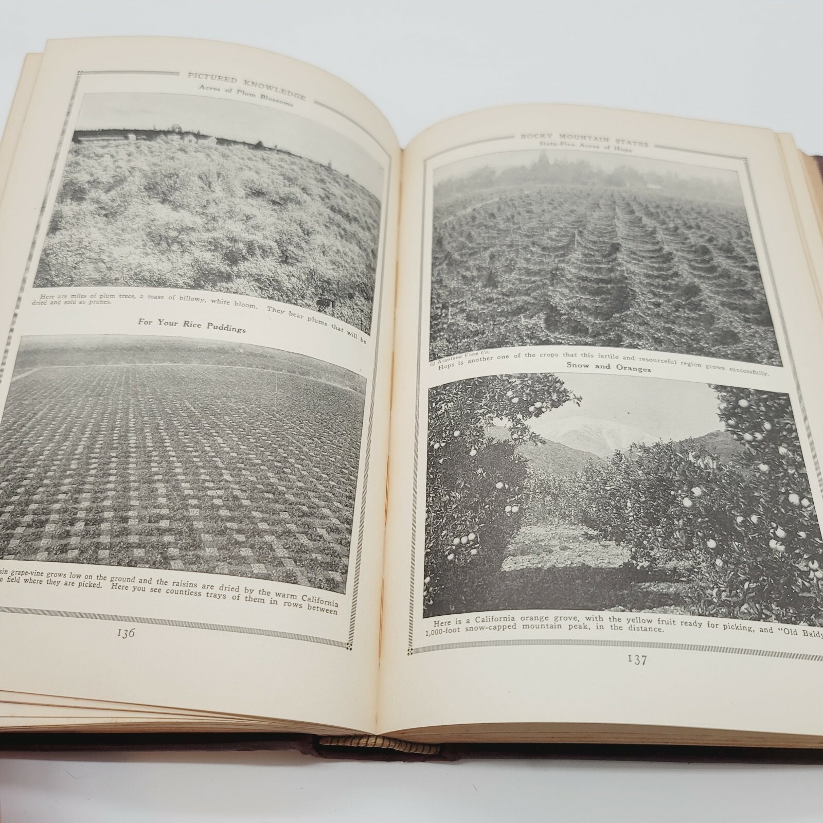 PICTURED KNOWLEDGE VOL I Copyright 1921 Marshall Hughes Co. Kansas City, MO