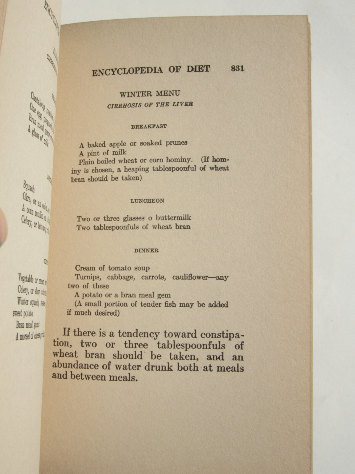 1917 Eugene Christian’s Encyclopedia of Diet Vol 3 Curative Menus for healing