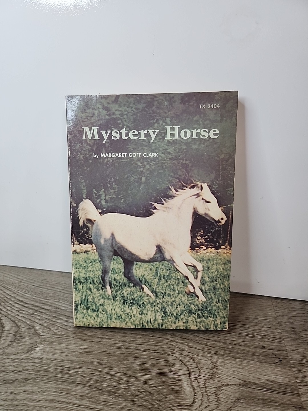 Mystery Horse By Margaret Goff Clark 1st Print 1973 Scholastic Book Club