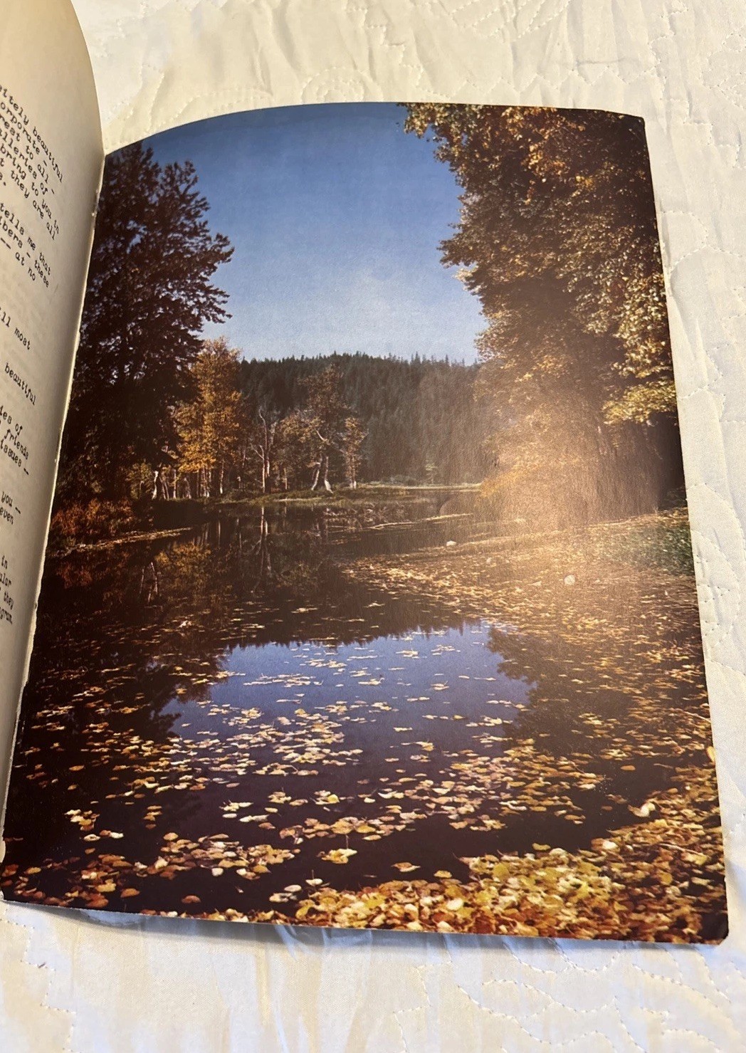 Ideals School 1949 August Issue