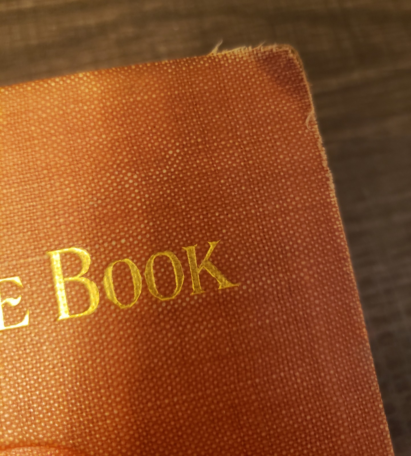 1895 Rudyard Kipling The Second Jungle Book Illustrated Cloth Hardcover