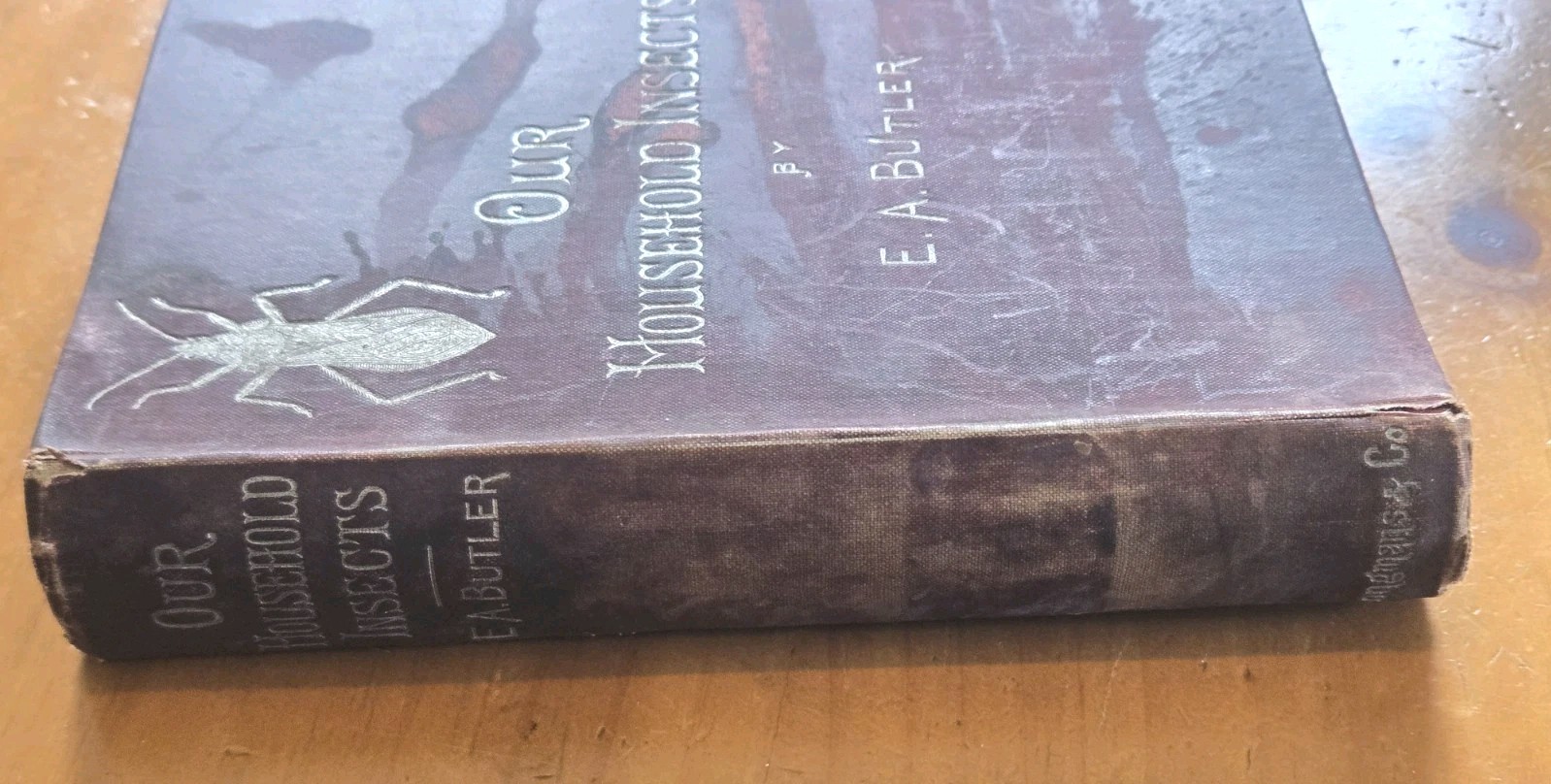 Our Household Insects Antique Hardcover Book By E. A. Butler New Edition 1896