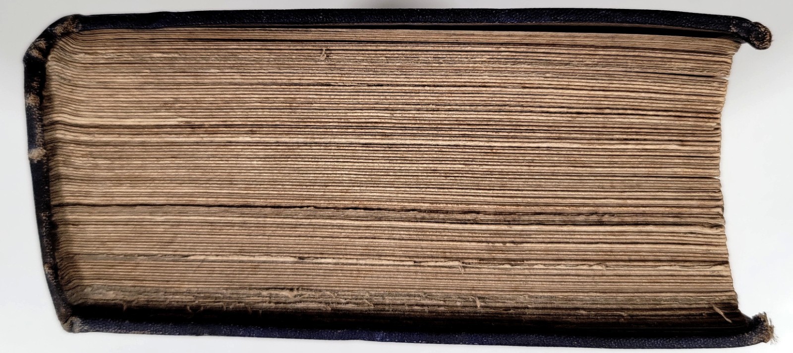 1873 Terra Incognita Convents United Kingdom Britain Anti Catholic Study Murphy