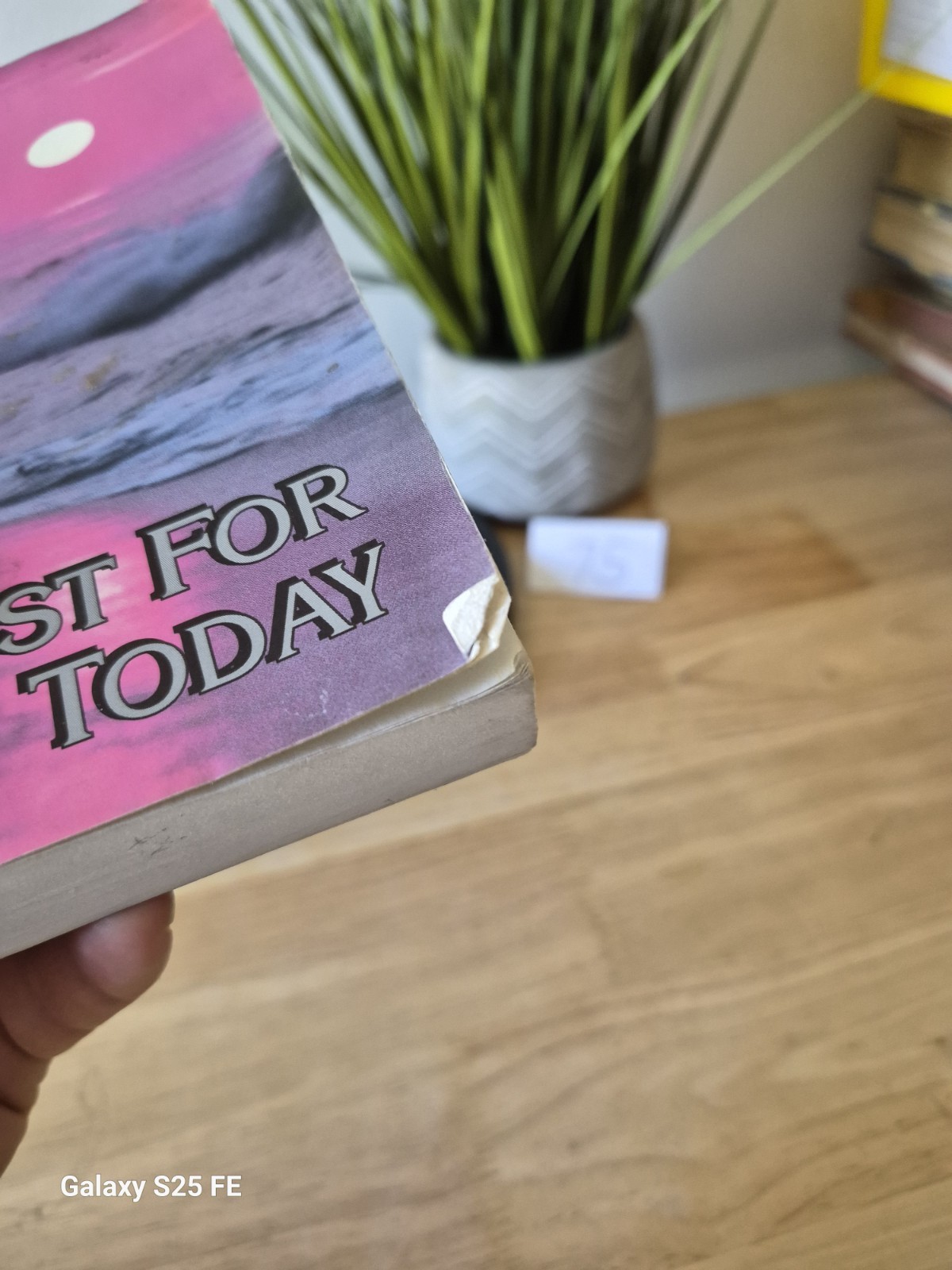 Narcotics Anonymous, Just For today, Sunset Cover 1992 WSO Edition Paperback