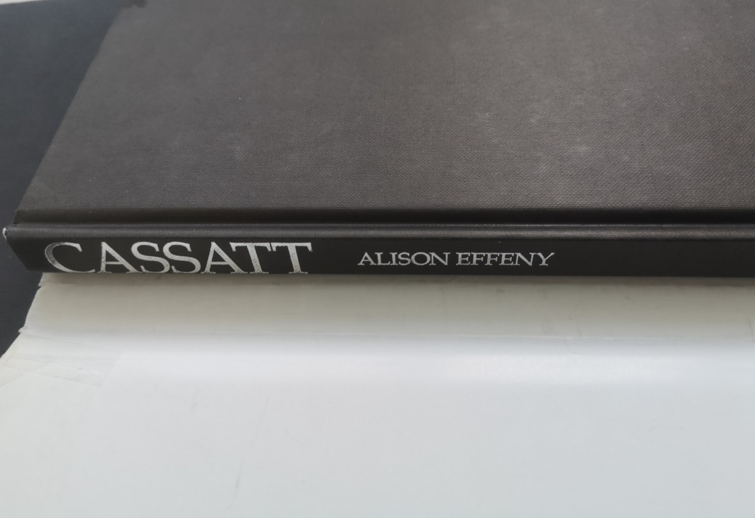 Cassatt – Alison Effeny – Hardback with Dust Jacket – 1993